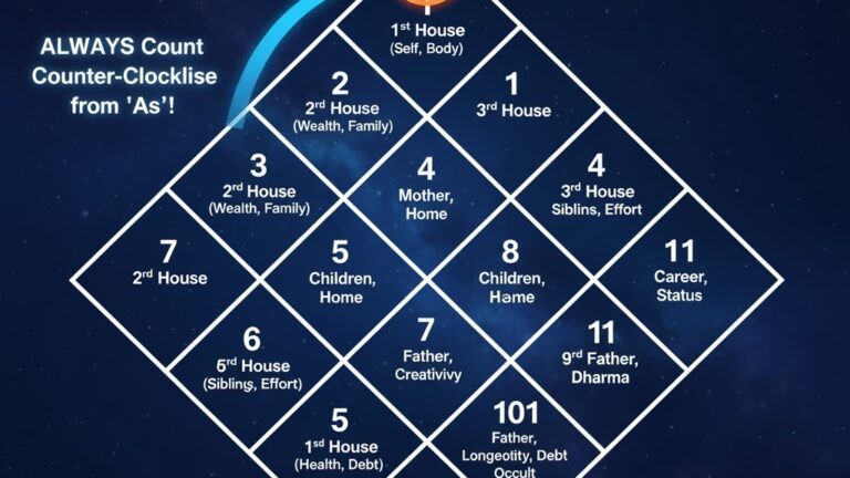 How to Read a North Indian Birth Chart