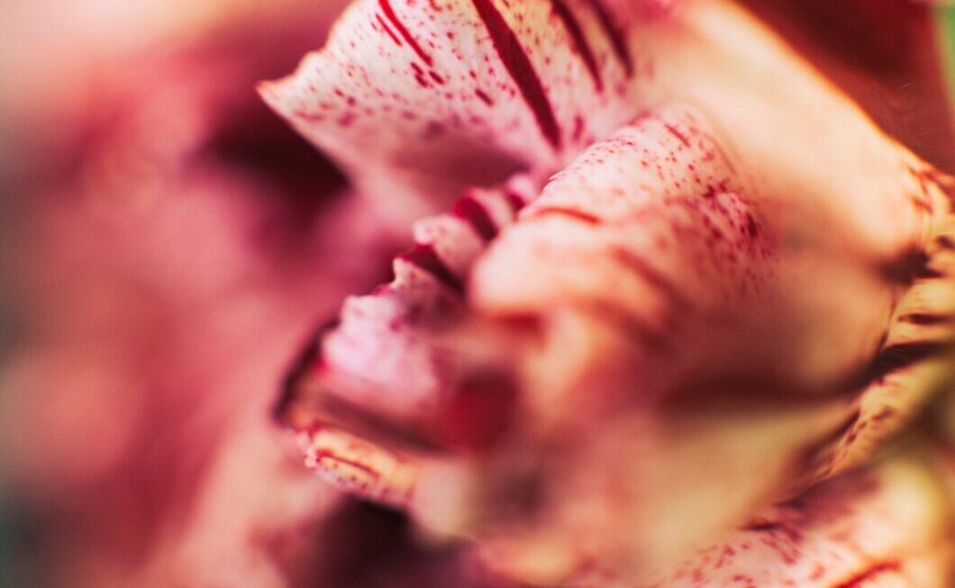 Yoni: Sexual and Biological Compatibility (4 points)