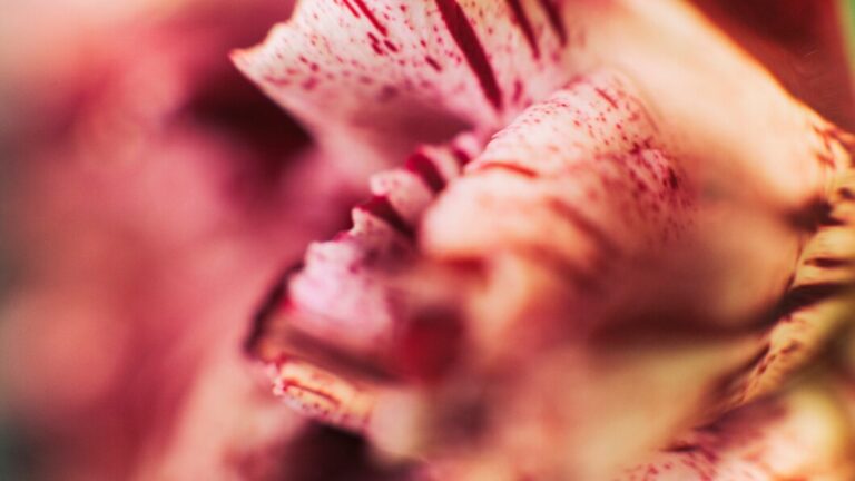 Yoni: Sexual and Biological Compatibility (4 points)