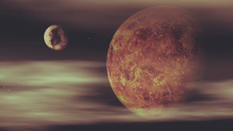 Venus: Reproductive System and Kidney Issues